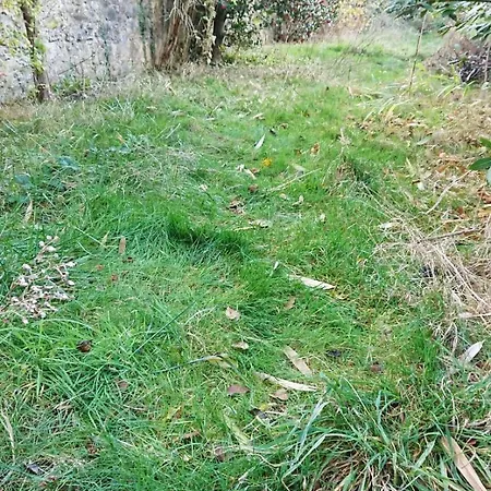 Parking Prive, Renove Acces Jardin