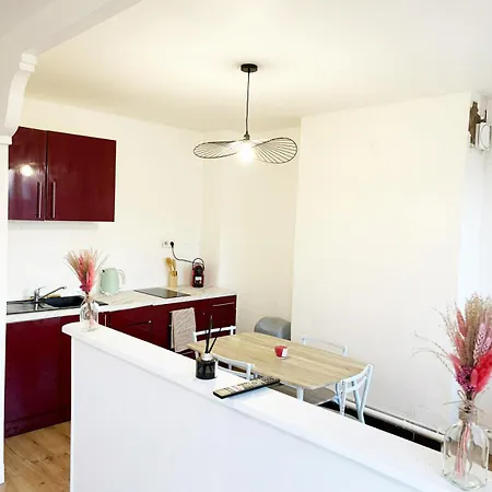 Appartement Parking Prive, Renove Acces Jardin *