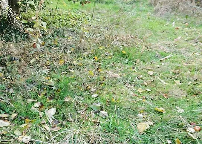 Appartement Parking Prive, Renove Acces Jardin