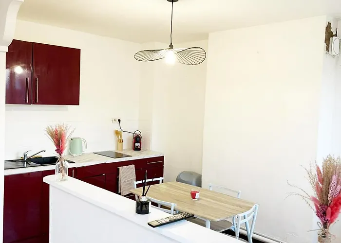 Appartement Parking Prive, Renove Acces Jardin *