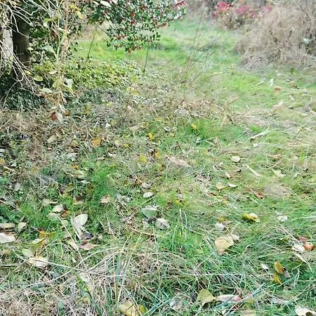 Appartamento Parking Privé, Rénové Accès Jardin