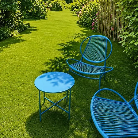 Renove Avec Acces Jardin Daire