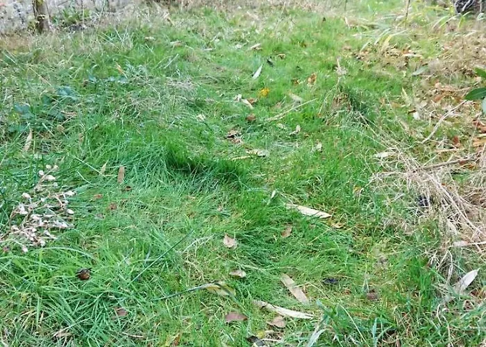 Parking Privé, Rénové Accès Jardin